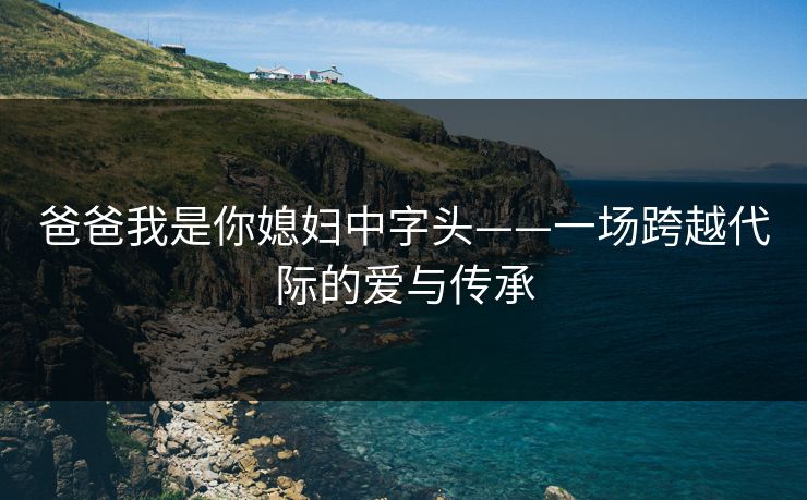 爸爸我是你媳妇中字头——一场跨越代际的爱与传承