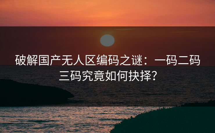 破解国产无人区编码之谜：一码二码三码究竟如何抉择？