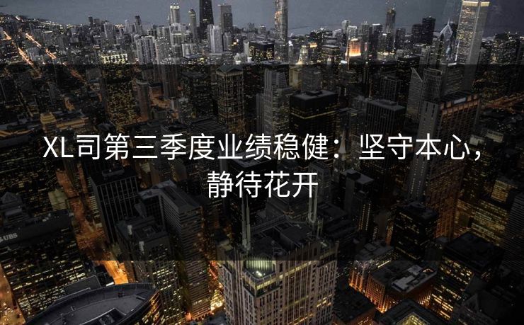 XL司第三季度业绩稳健：坚守本心，静待花开