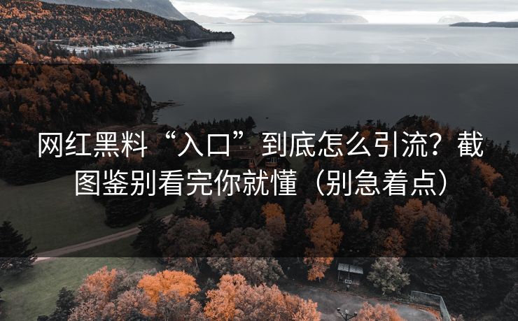 网红黑料“入口”到底怎么引流？截图鉴别看完你就懂（别急着点）